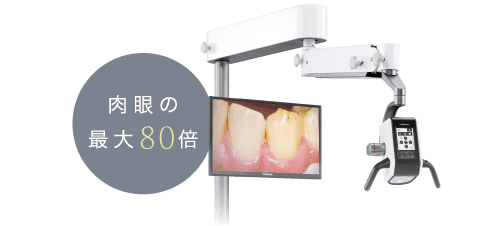 肉眼の最大80倍